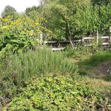 Ferienwohnung Wolkwitz Sued